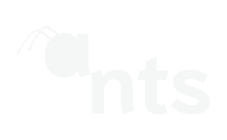ANTS Research Group
